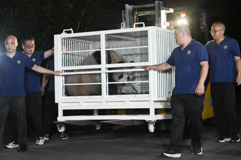 中國AI公司重慶特米諾斯智能科技申請香港上市