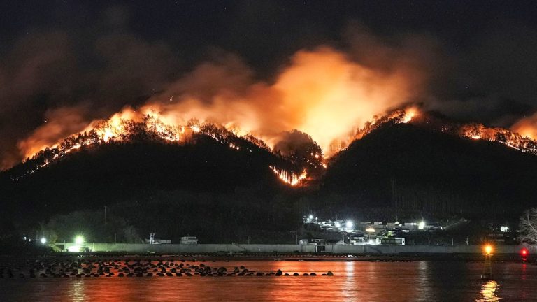 日本岩手縣30年最嚴重山火! 燒毀2600公頃 1死 4600人疏散｜有影片