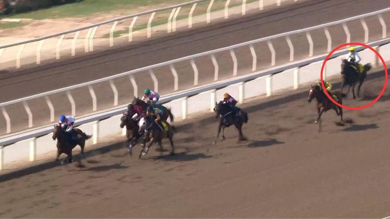 沙田馬場試閘悲劇 三駒一周內相繼傷亡