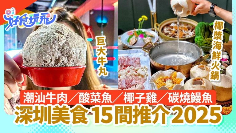 深圳2025必嚐美食｜潮汕牛肉到椰子雞煲全攻略