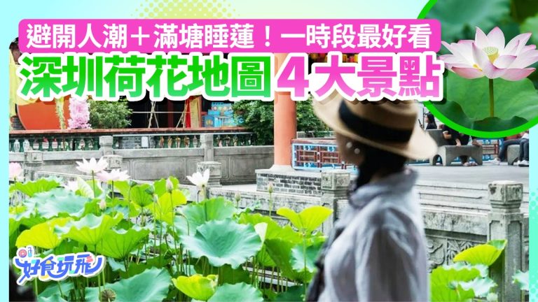 深圳夏日荷花秘境：4大賞花勝地與最佳賞花時刻